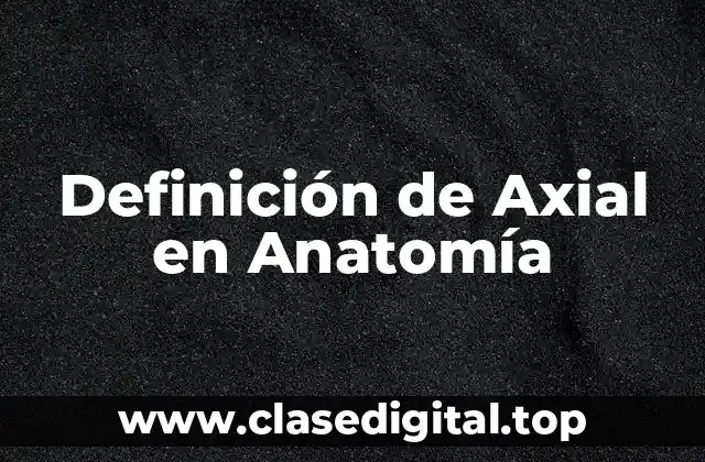 Definición de Axial en Anatomía