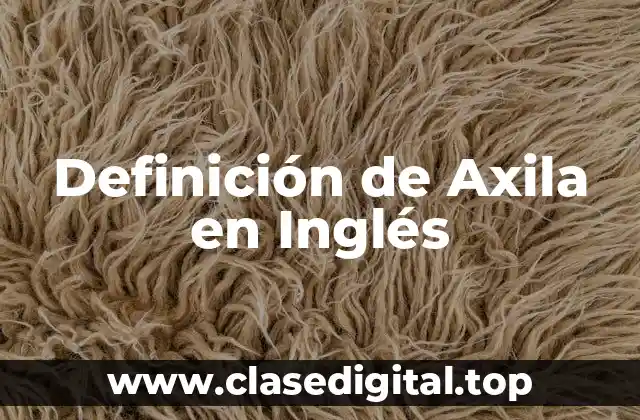 Definición de Axila en Inglés