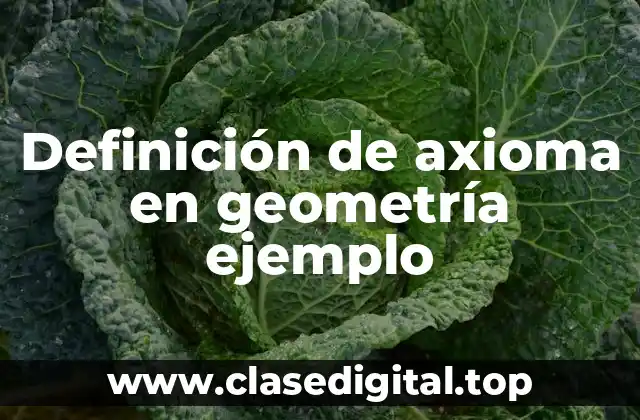 Definición de axioma en geometría ejemplo