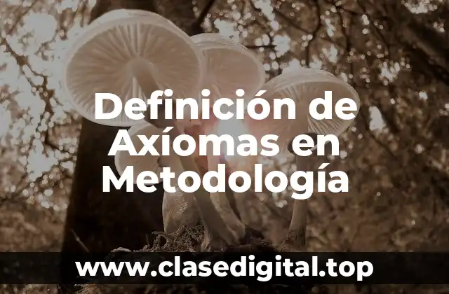 Definición de Axíomas en Metodología