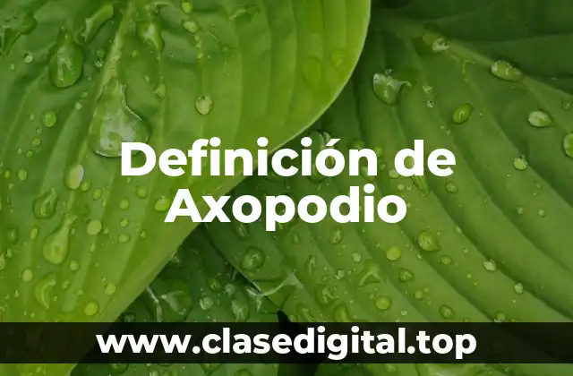 Definición de Axopodio