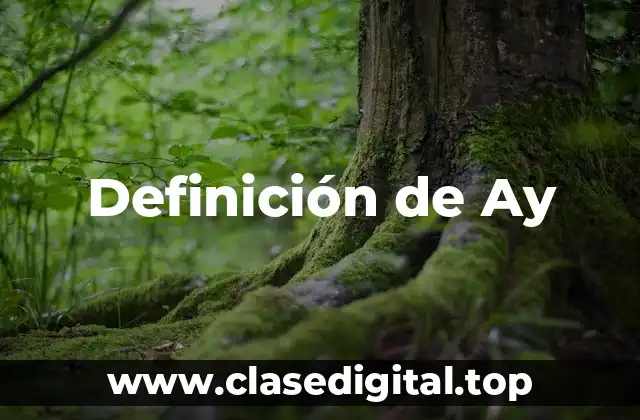 Definición de Ay