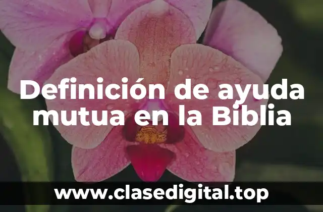 Definición de ayuda mutua en la Biblia