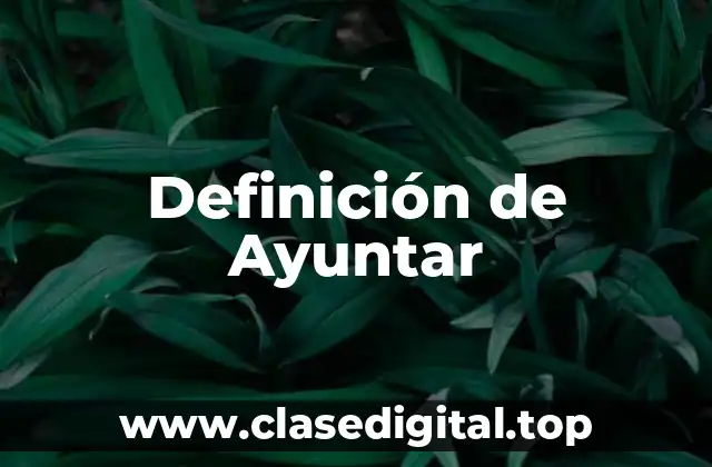 Definición de Ayuntar
