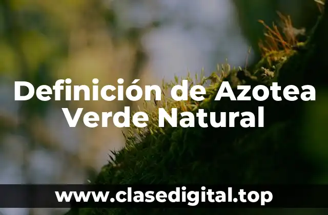 Definición de Azotea Verde Natural
