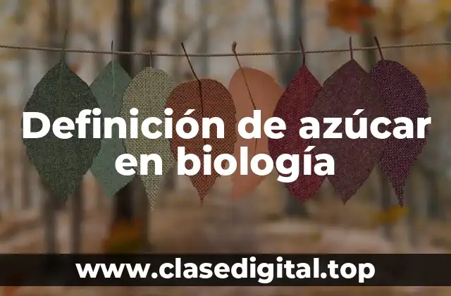 Definición de azúcar en biología
