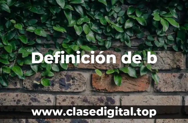 Definición de b