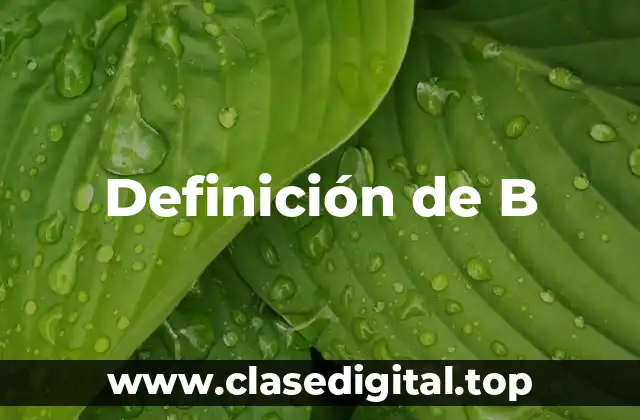 Definición técnica de B-H en un medidor de flujo