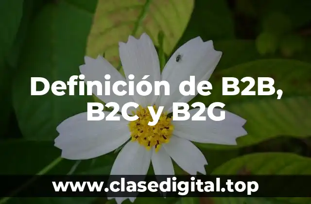 Definición de B2B, B2C y B2G