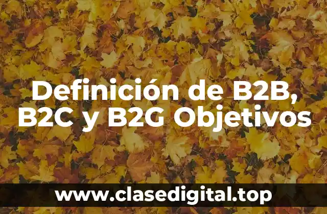 Definición de B2B, B2C y B2G Objetivos