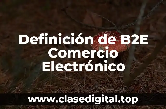 Definición de B2E Comercio Electrónico