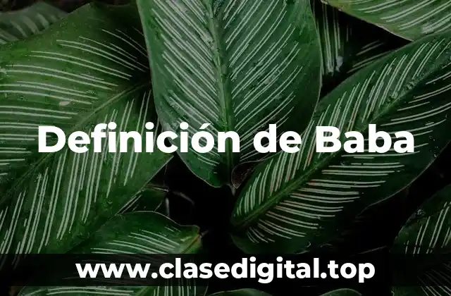 Definición de Baba