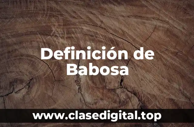 Definición de Babosa
