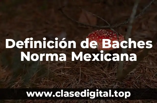 Definición de Baches Norma Mexicana