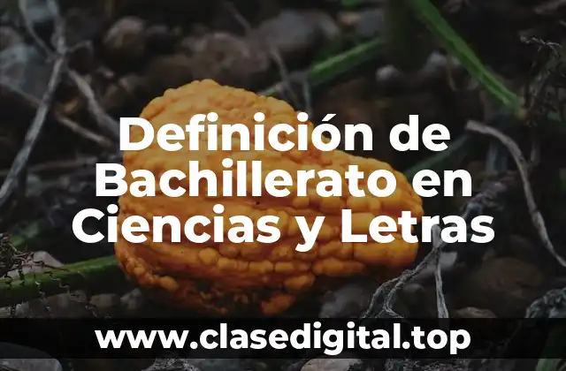 Definición de Bachillerato en Ciencias y Letras