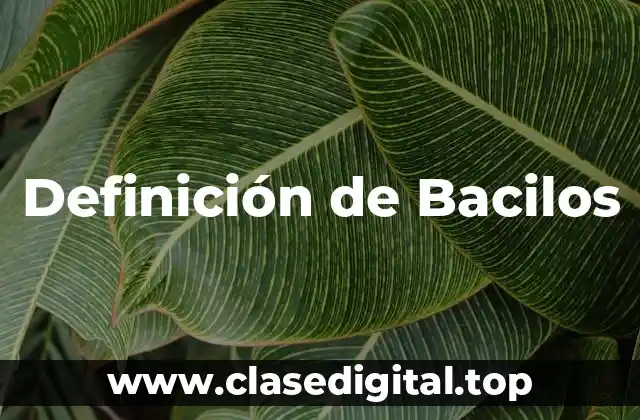 Definición de Bacilos