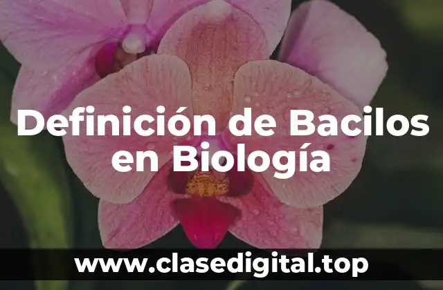 Definición de Bacilos en Biología