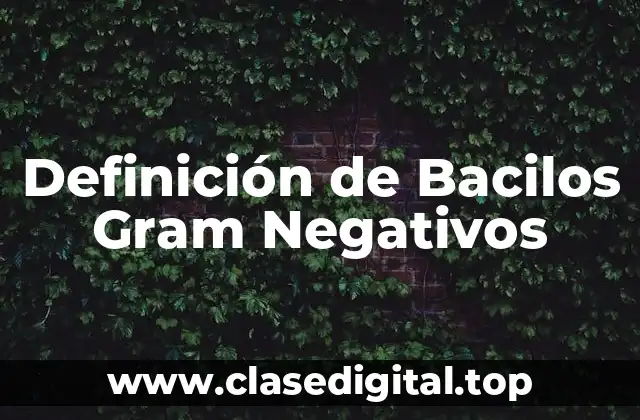 Definición de Bacilos Gram Negativos