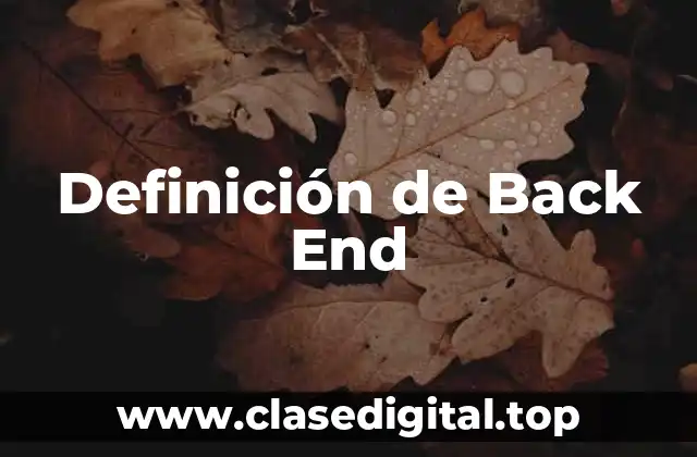 Definición de Back End