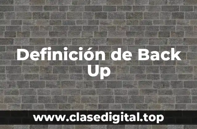 Definición de Back Up