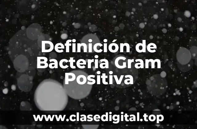 Definición de Bacteria Gram Positiva