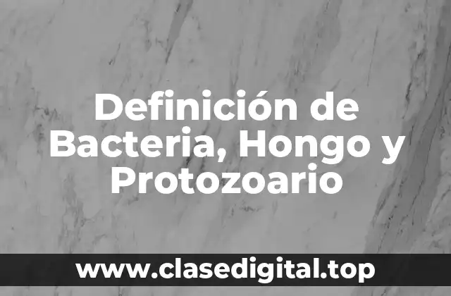Definición de Bacteria, Hongo y Protozoario