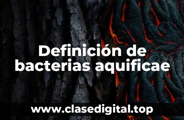 Definición de bacterias aquificae