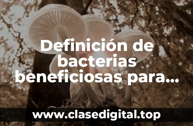 Definición de bacterias beneficiosas para nuestro organismo