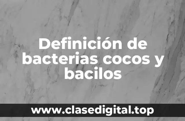 Definición de bacterias cocos y bacilos