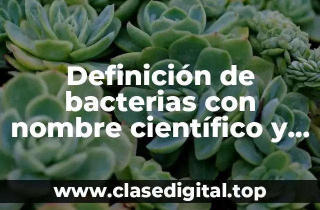 Definición de bacterias con nombre científico y común