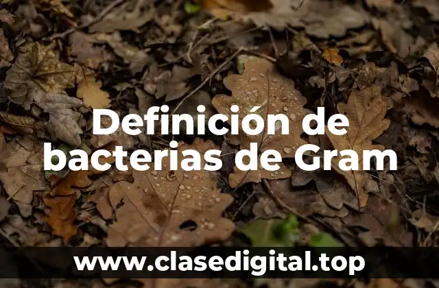 Definición de bacterias de Gram