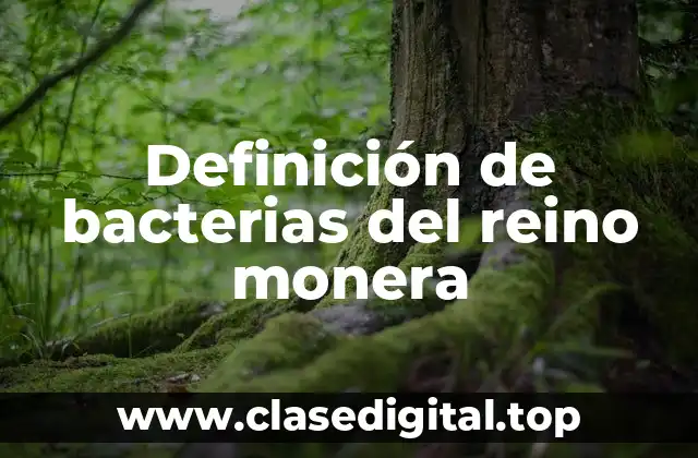 Definición de bacterias del reino monera