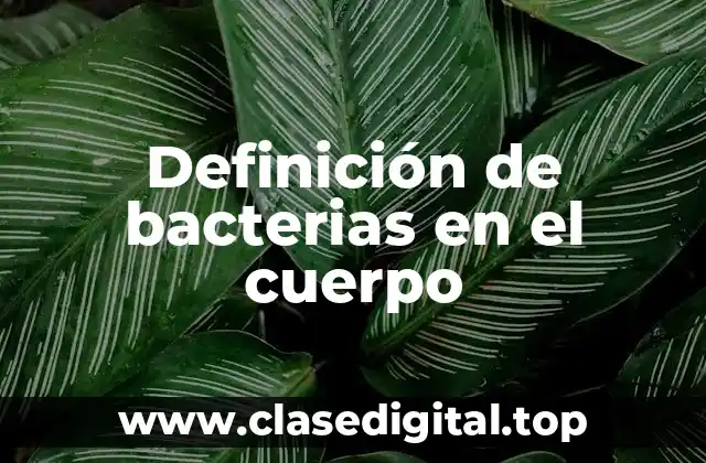 Definición de bacterias en el cuerpo