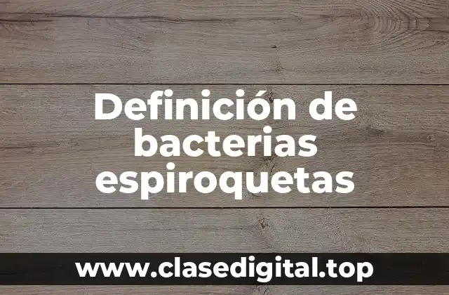 Ejemplos de bacterias espiroquetas