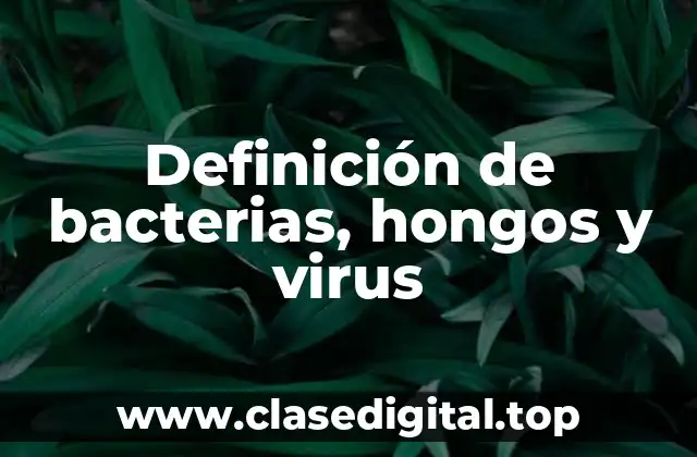 Definición de bacterias, hongos y virus