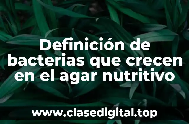 Ejemplos de bacterias que crecen en el agar nutritivo