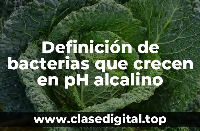 Definición de bacterias que crecen en pH alcalino