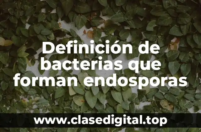Definición de bacterias que forman endosporas