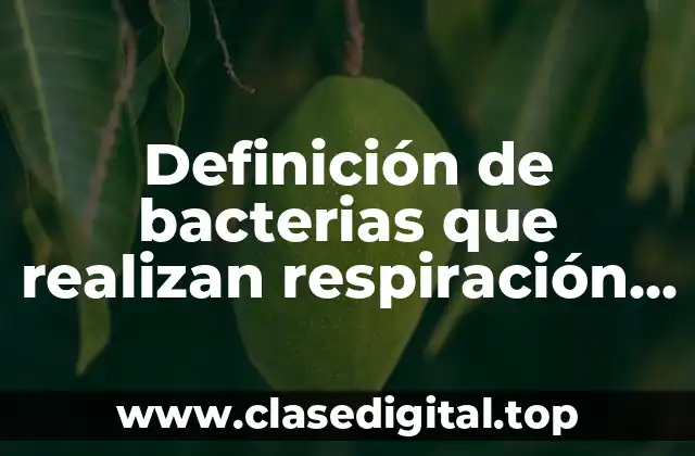 Definición de bacterias que realizan respiración aerobia
