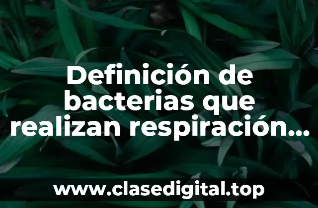 Ejemplos de bacterias que realizan respiración anaerobia