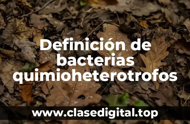Definición de bacterias quimioheterotrofos