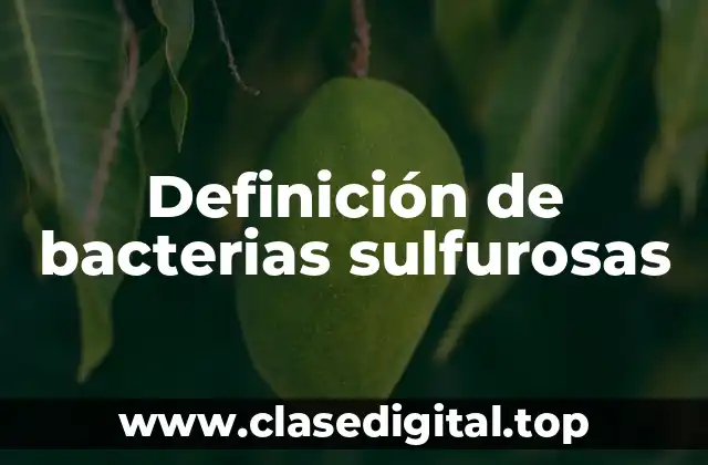 Ejemplos de bacterias sulfurosas