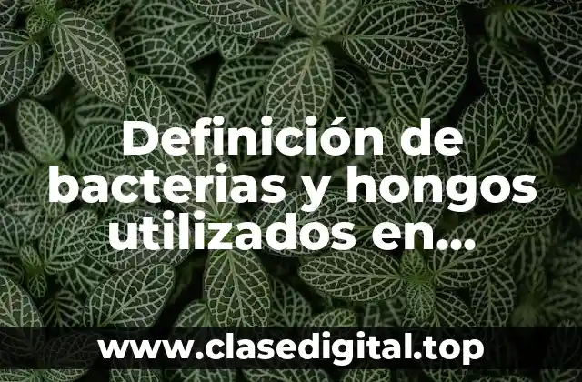 Definición de bacterias y hongos utilizados en procesos biotecnológicos