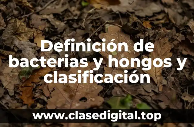 Definición de bacterias y hongos y clasificación
