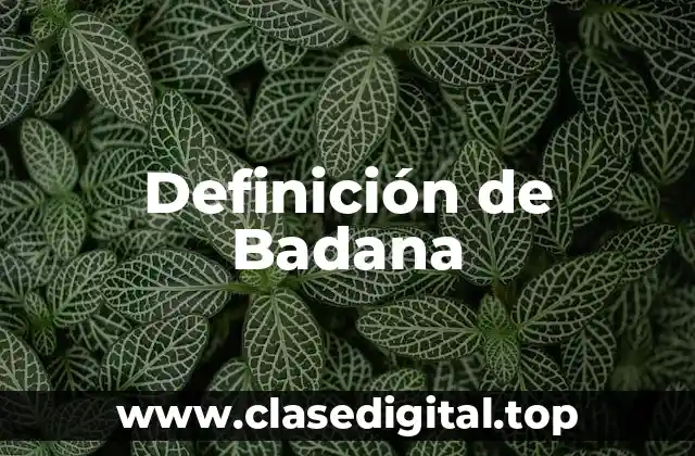 Definición de Badana