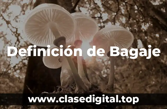 Definición de Bagaje