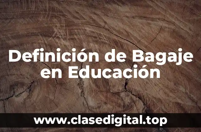 Definición de Bagaje en Educación