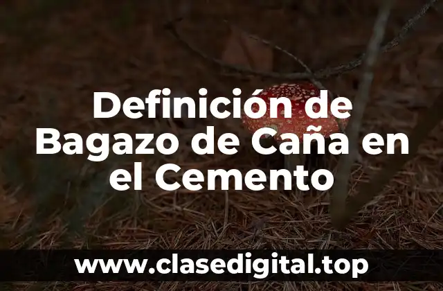 Definición de Bagazo de Caña en el Cemento