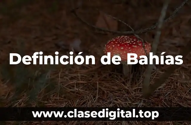 Definición de Bahías