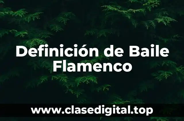 Definición de Baile Flamenco